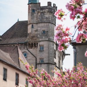 Musée de la Tour des Échevins