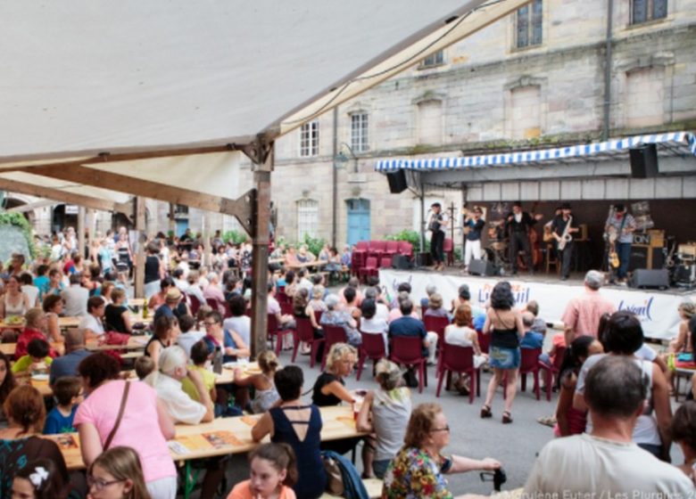 Festival Les Pluralies