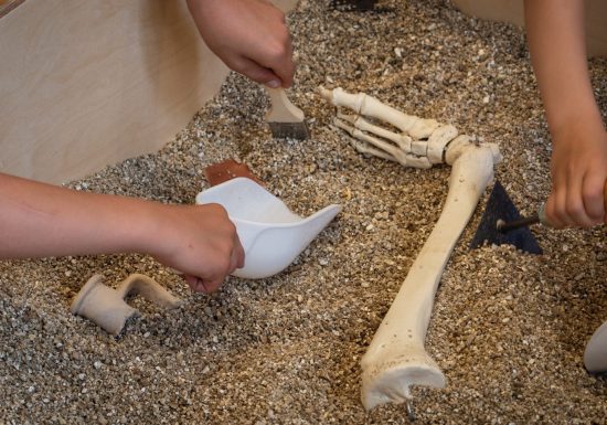 Visite de l&rsquo;&cclesia et atelier de fouille archéologique