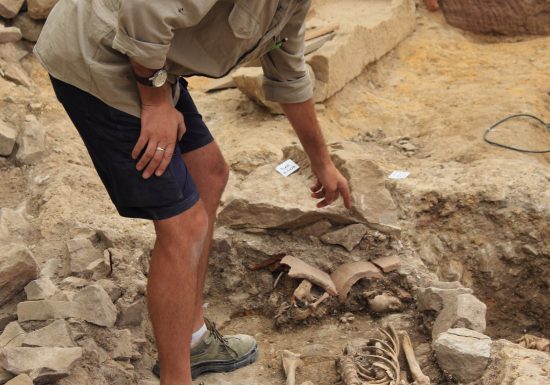 Journées Européennes de l&rsquo;Archéologie