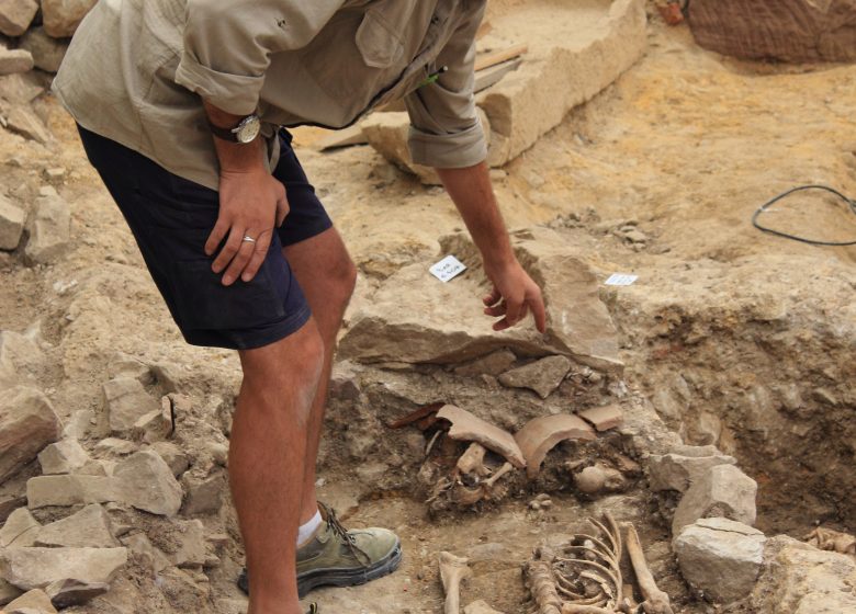 Journées Européennes de l’Archéologie